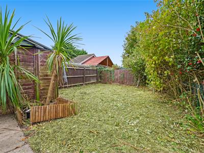 Picture 19